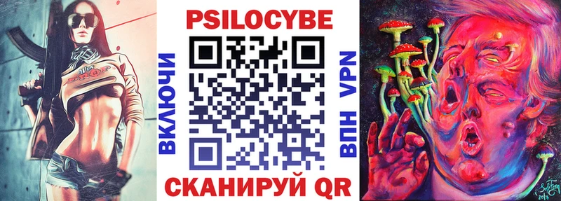 mega как войти  купить наркотик  Волосово  Галлюциногенные грибы Psilocybe 